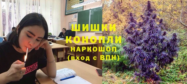 крисы Володарск